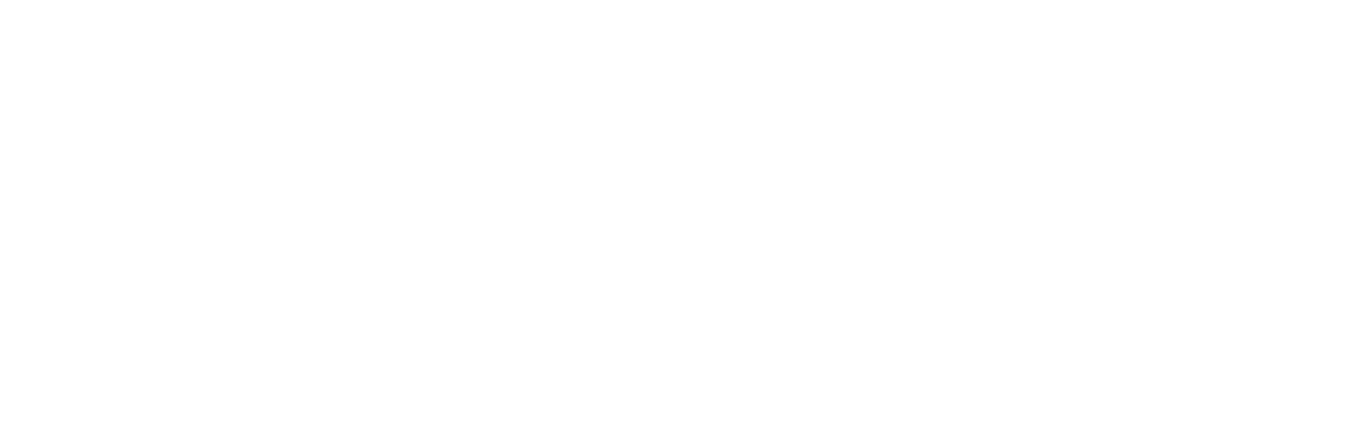 ZSOFT